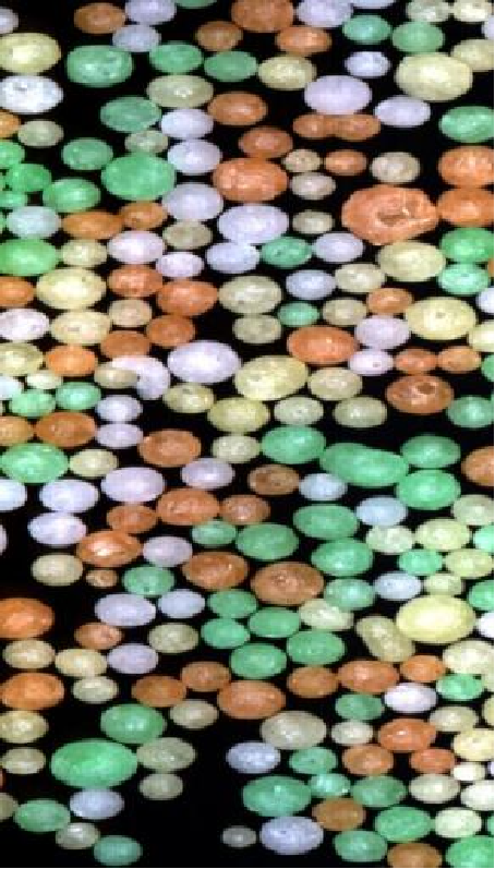 20251107115824689585.png 图片9.png