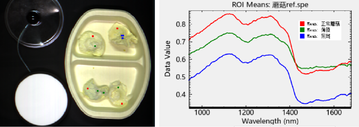 20251107134910903078.png 图片4.png