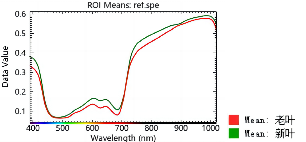 20251107135745750931.png 图片4.png