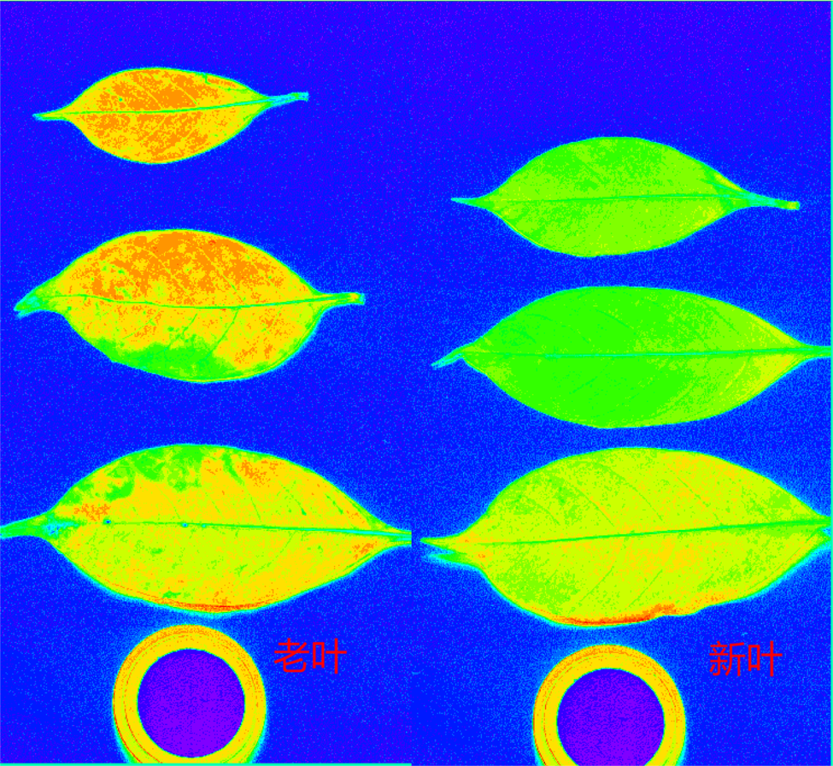 20251107135826122421.png 图片5.png