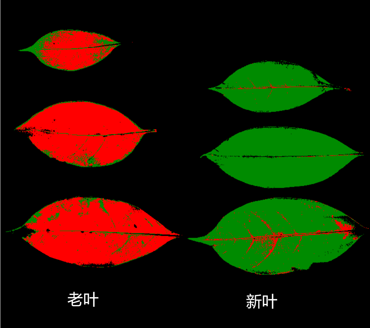 20251107135845307443.png 图片6.png