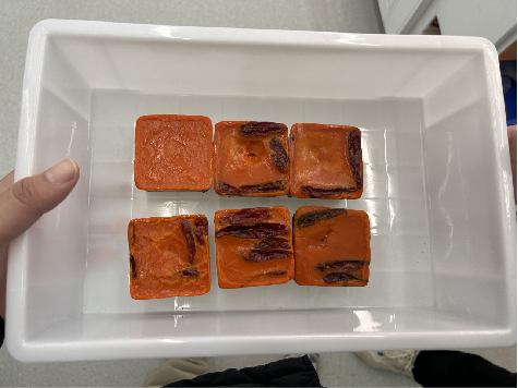 20251107142007820008.png 4.png