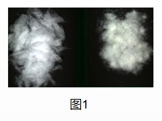 20251107144915137371.png 12.png